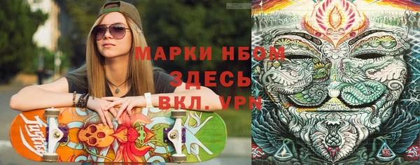 дмт Протвино
