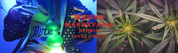 дмт Протвино
